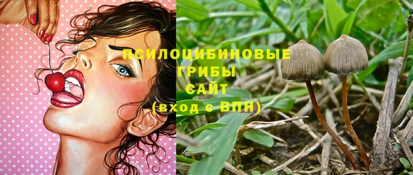 apvp Балахна